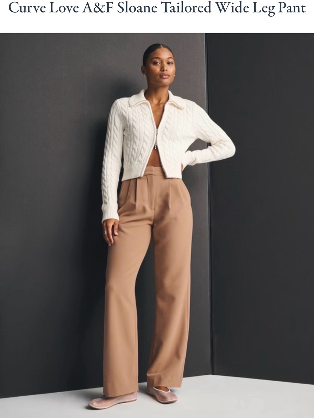 Abercrombie & Fitch Wide Leg Tailored Pants in Camel